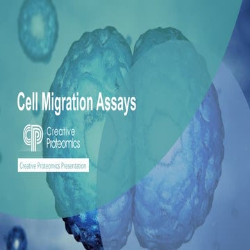 Brief Introduction: Cell Migration Assay