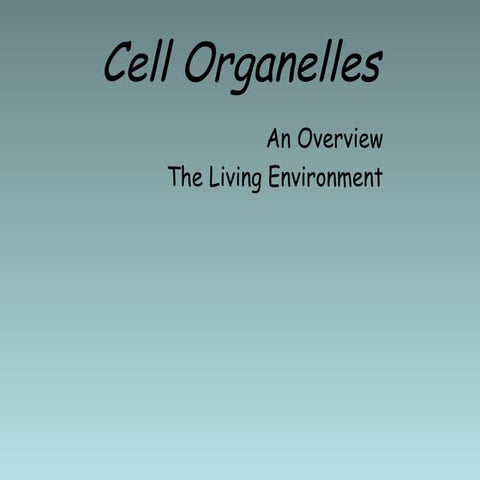 Cell  Organelle  Review