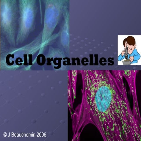 Cell Organelles and their functions .ppt