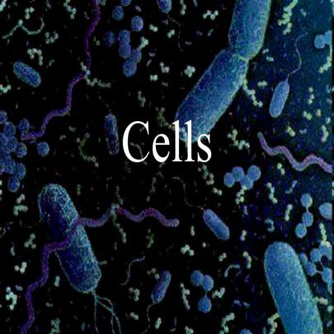 Cell-Structure and types -Eukaryotic and Prokaryotic .ppt
