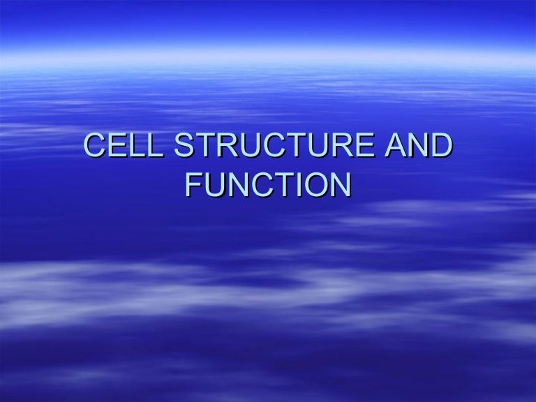 Printables Cell Structure Function Worksheet cell structure and function