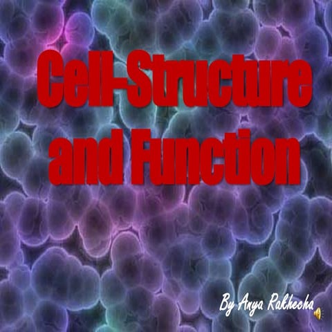 Cell structure and function