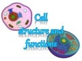Cell structure and function for class 8