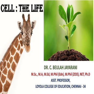 CELL: THE LIFE