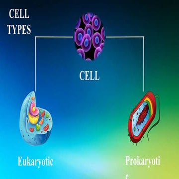 THE CELL-TYPES PROCARYOTES AND EUKARYOTES.pptx.
