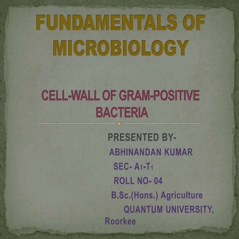 Cell wall of gram-positive bacteria