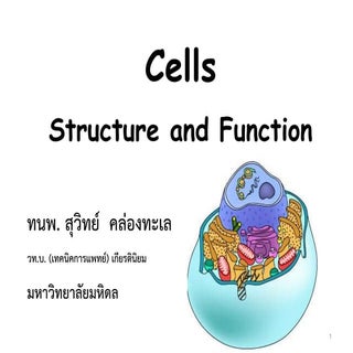 Cell : Structure and Function Part 01