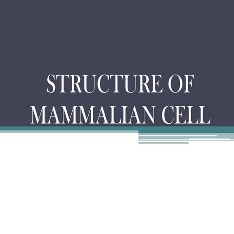 Cell Structure & Cell Division