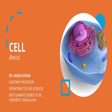 Cell Biology Basics: Cell Types and Organelles