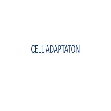 CELL ADAPTATON_091737.pptx