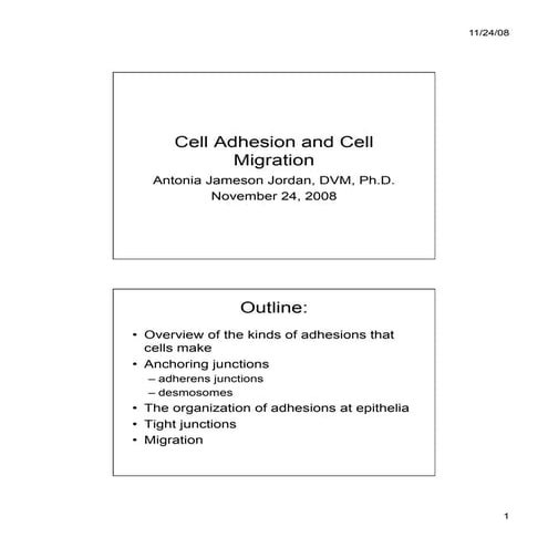 Cell Adhesion and Cell Migration