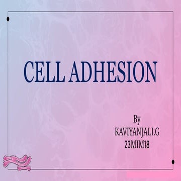 cell adhesion in animal cell culture.pptx