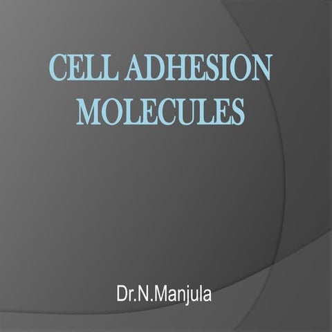 CELL ADHESION MOLECULES-1            .pptx