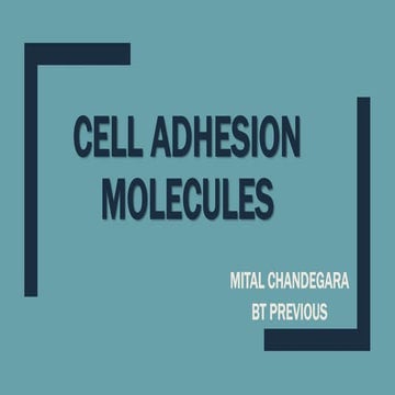 Cell adhesion molecules