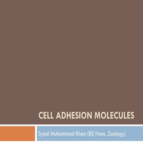 Cell Adhesion Molecules