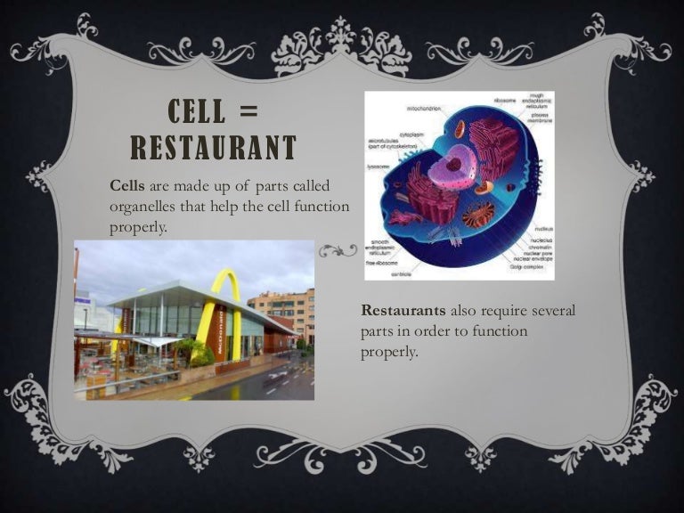 cell analogy example cell analogy ideas