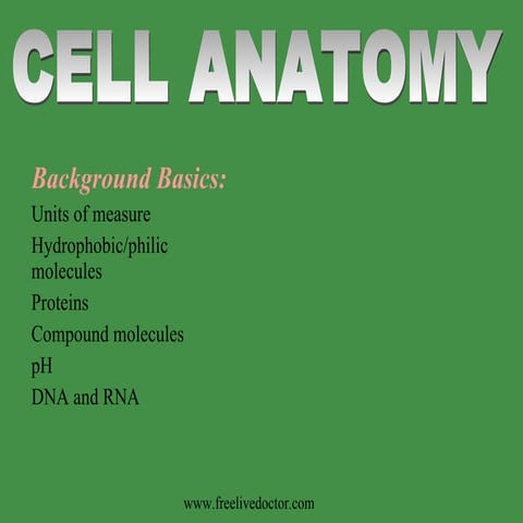 Cell Anatomy | PPT