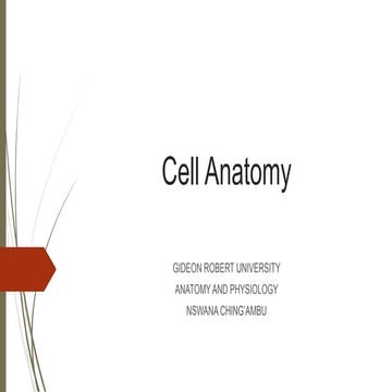 Cell anatomy.pdf