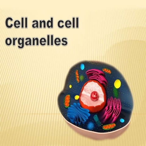 Cell and cell organlles