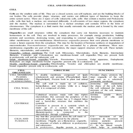 Cell and its Organelle 