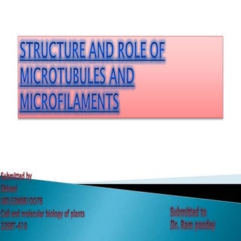 cell and molecular biology PPT.pptx