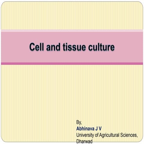 Cell and tissue culture