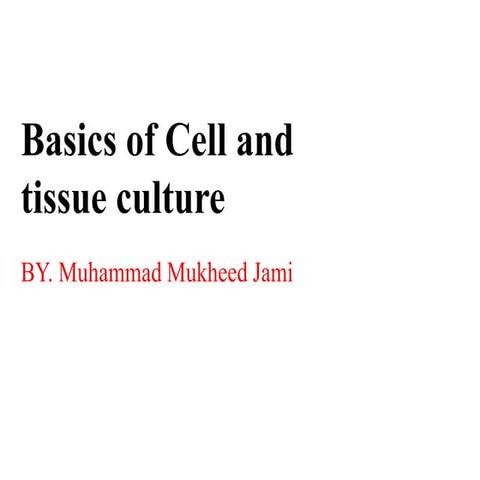 Cell and tissue culture
