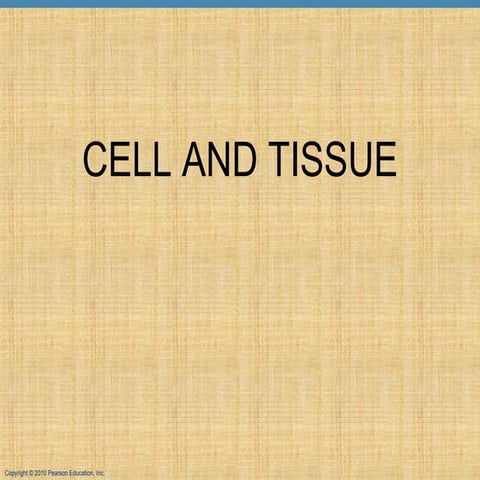 Cell and tissues