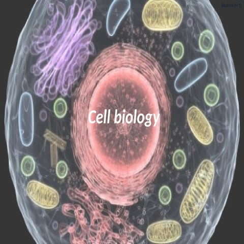 Cell biology(Introduction, Discovery, evolution of cell, Cell theory, Types of cell, Structure of eukaryotic cell, Plasma membrane structure, chemical composition of plasma membrane and more).pptx