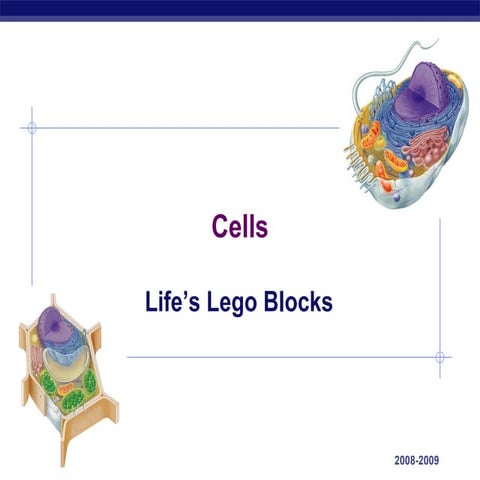 Introduction to Cell Biology and Stem Cells