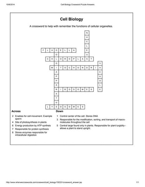 Biology Cell Organelle Crossword Puzzle Biology Cell Organelle Crossword Puzzle