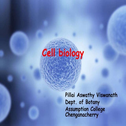 Cell biology dc3