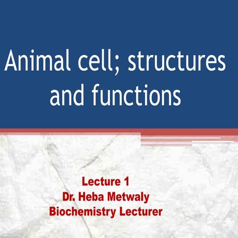 Cell biology lec 1.pdf.pdf