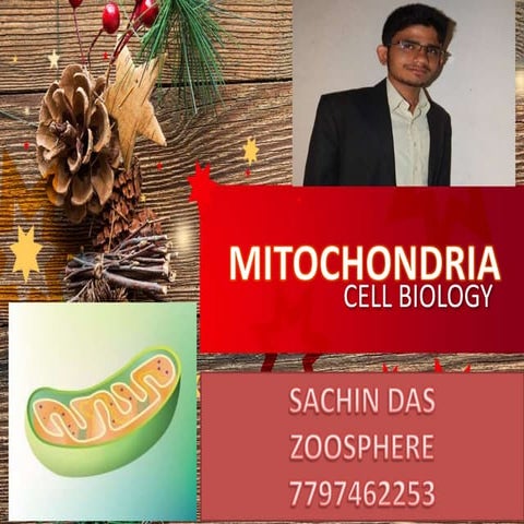 Cell biology mitochondria