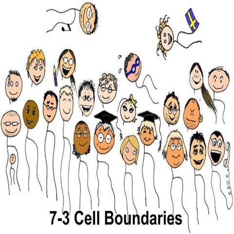 Cell boundaries blackboard