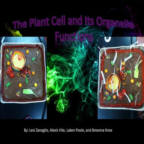 Our edible cell candi | PPTX