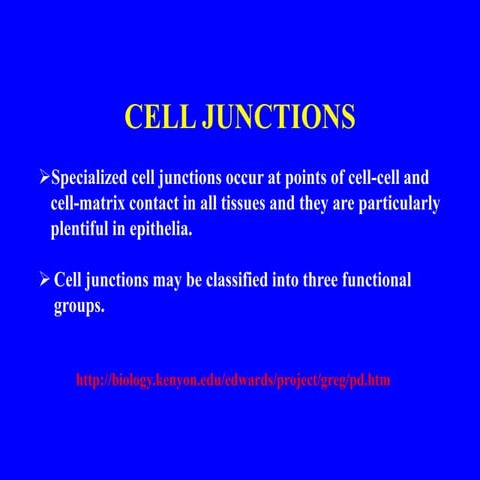 _Cell cell cross talk.ppt