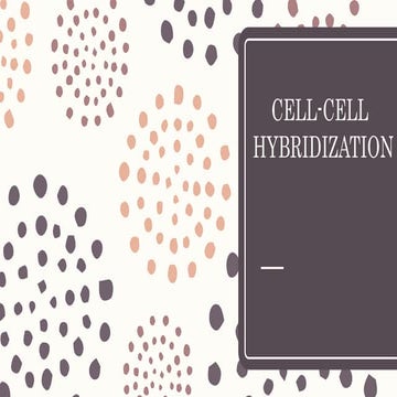 Cell cell hybridization or somatic cell hybridization