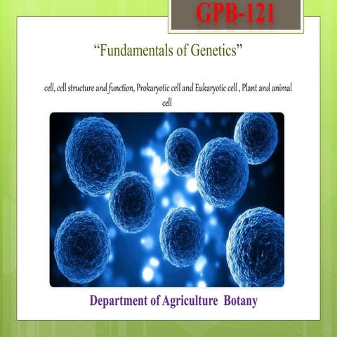 cell, cell structure and function, Prokaryotic cell and Eukaryotic cell ...