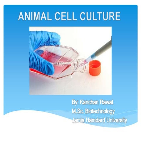 Cell culture