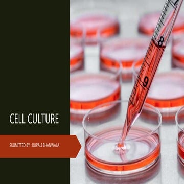 Cell culture  rupali