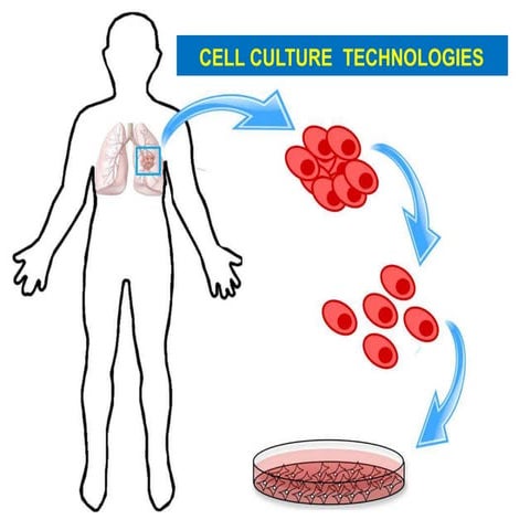 Cell culture technologies