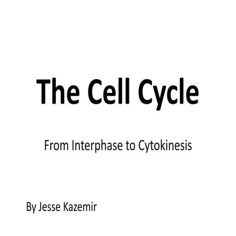 Cell Cycle | PPTX
