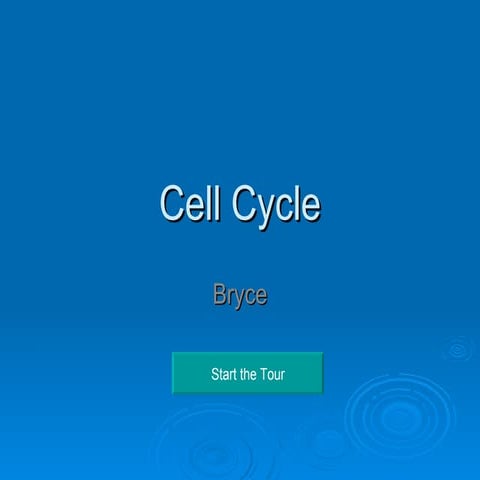 Cell Cycle