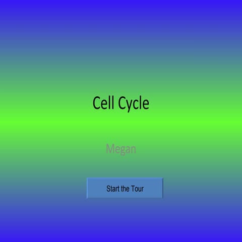 Cell Cycle