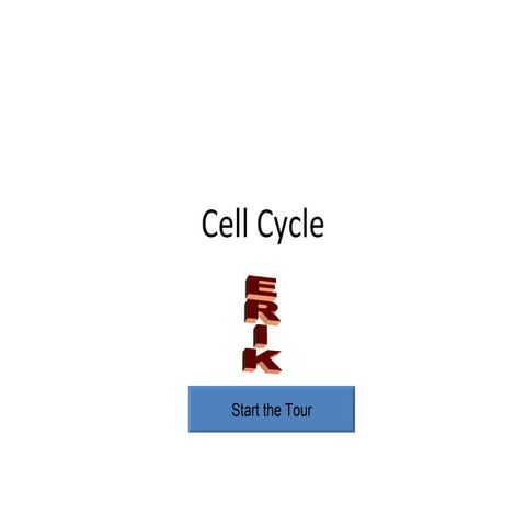 Cell Cycle