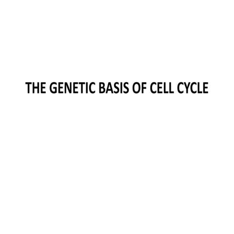 Cell cycle