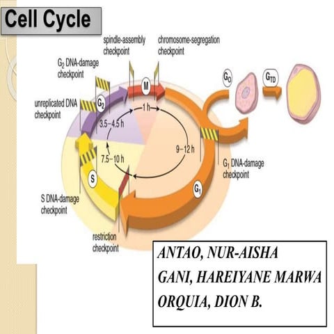 Parallel mechanisms of epigenetic reprogramming in the germline | PDF