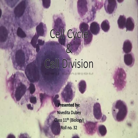 Cell cycle and Cell Division