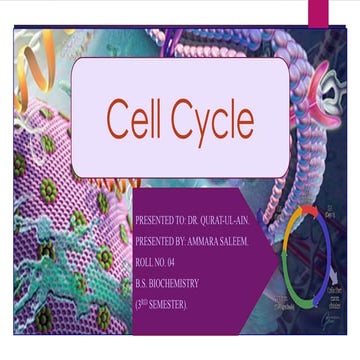 Cell cycle